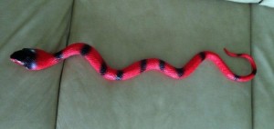 rubber snake (3)