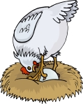 cartoon-chicken-on-nest-02